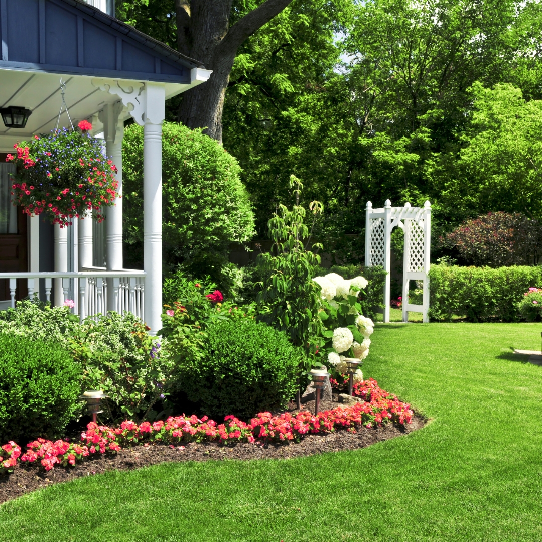 Revitalizing Your Front Garden: Tips and Ideas for a Beautiful Space
